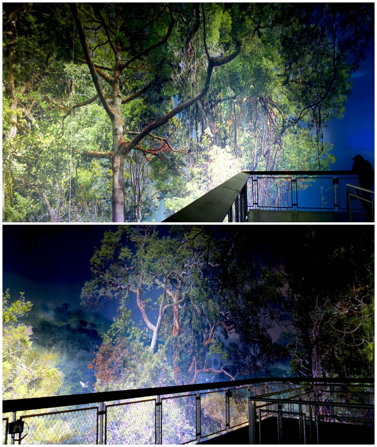 PanoramaXXL_Amazonia_nuit
